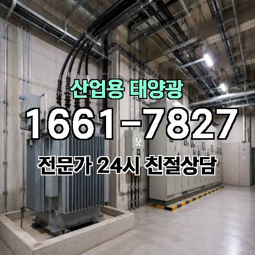 게시판 이미지 4239