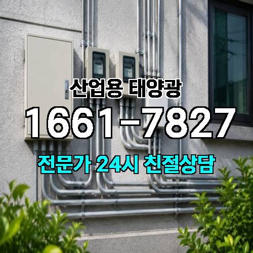 게시판 이미지 4887