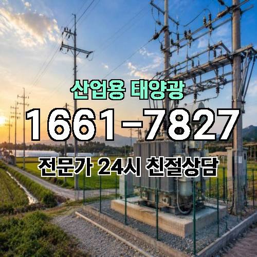 게시판 이미지 573
