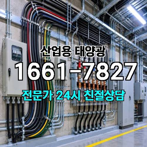 게시판 이미지 579