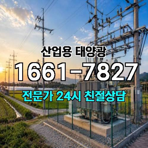 게시판 이미지 786