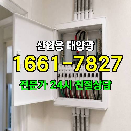 게시판 이미지 971