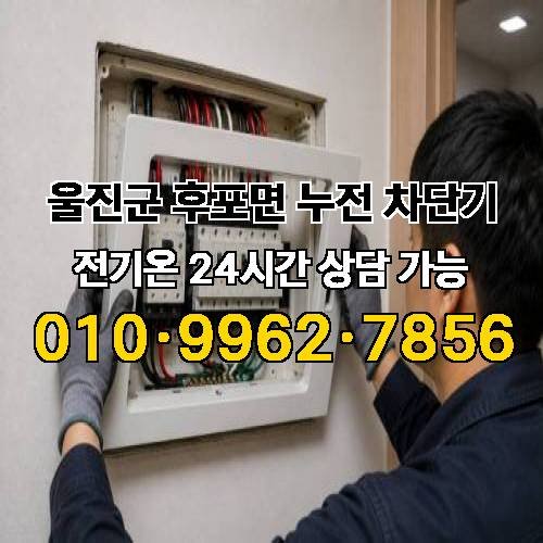 게시판 이미지 5653