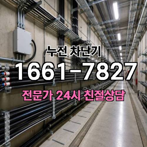 게시판 이미지 7781