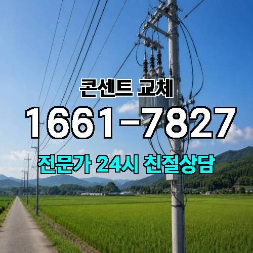 게시판 이미지 8911