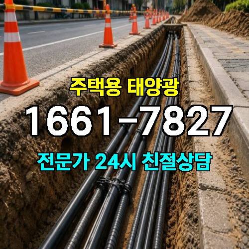 게시판 이미지 245