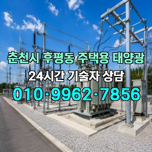 게시판 이미지 256