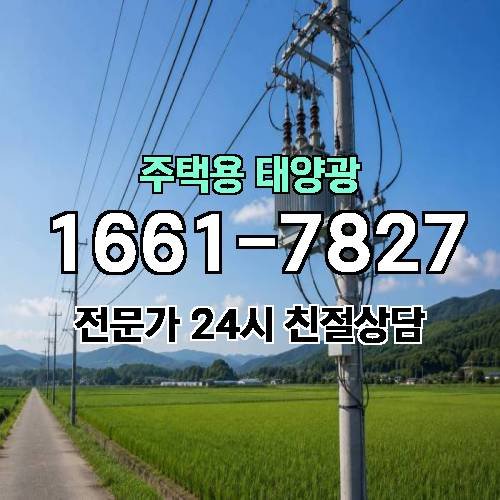 게시판 이미지 2862