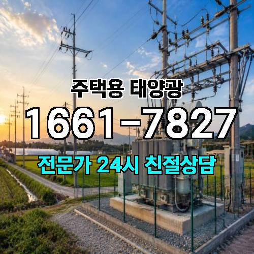 게시판 이미지 3117