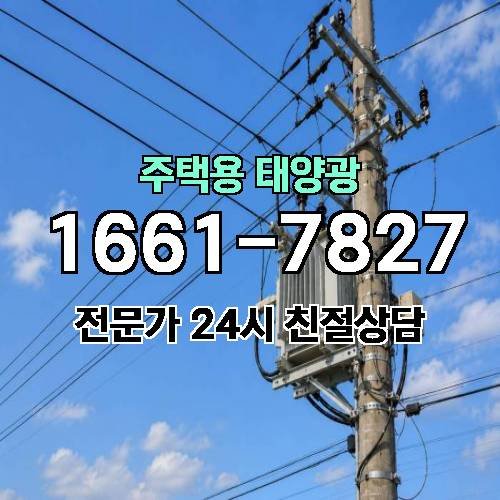 게시판 이미지 3165