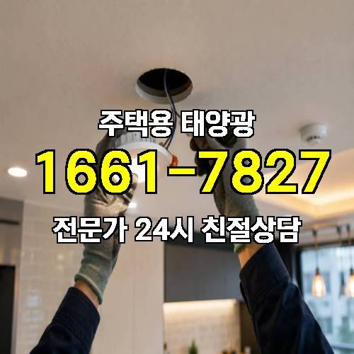 게시판 이미지 3266