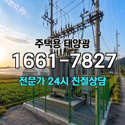 게시판 이미지 983