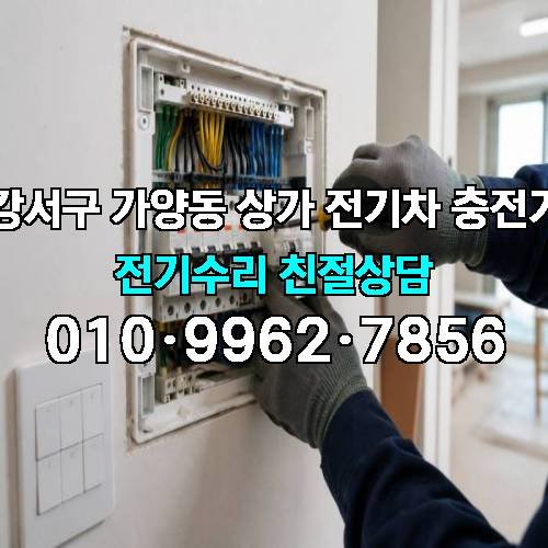 게시판 이미지 2922